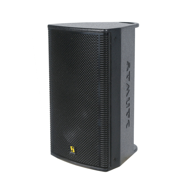 SA10 Single 10 Inch Professional Active Dj Club Speaker