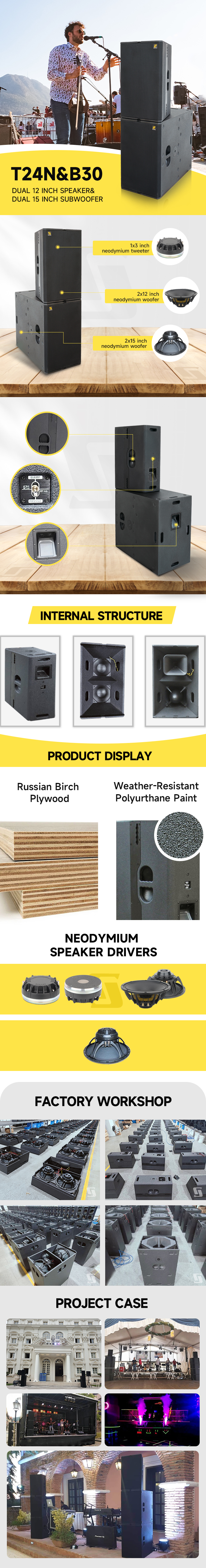 T24N dual 12 inch speakers