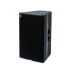 T24N Dual 12 Inch Loudspeaker With Excellent Speech Intelligibility And Musicality