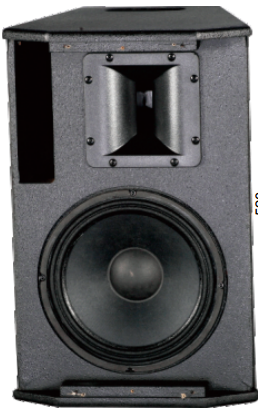 AT10 Single 10" Professional Indoor Audio Speaker